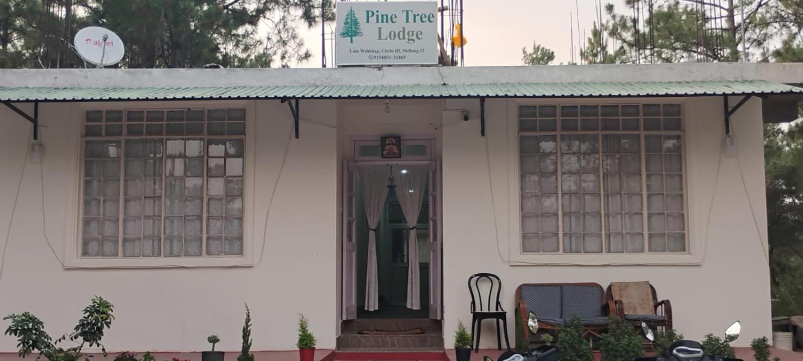 Pine Tree Lodge 실롱 외부 사진